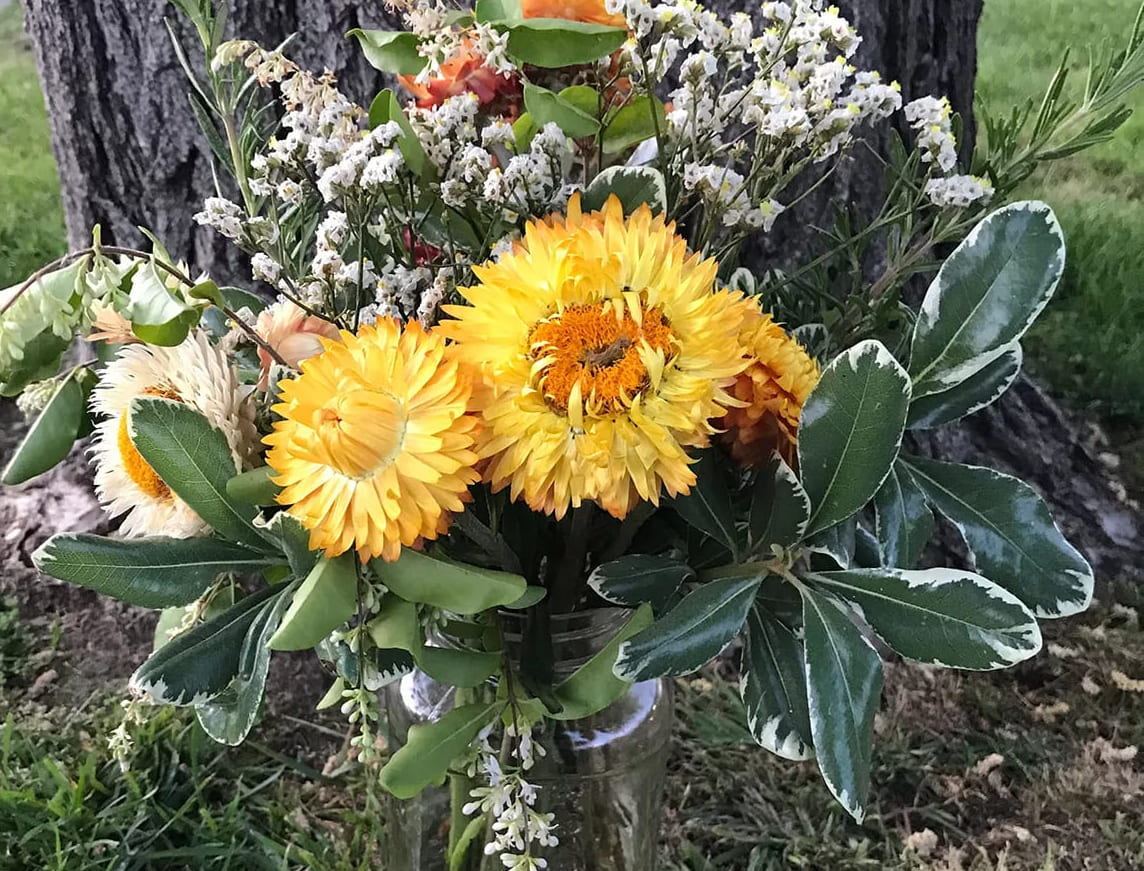 Tämän opettajan naapuruston vaihtoprojekti jakaa kukkia ja hauskanpitoa