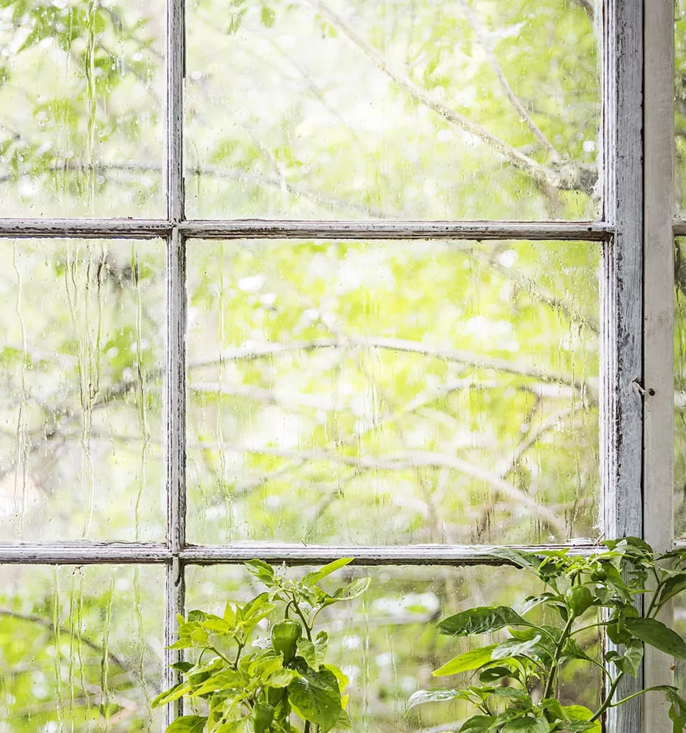 Tämä pariskunta rakensi upean minikasvihuoneen antiikkiikki-ikkunoista