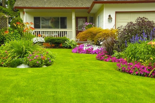 Bob Vilan opas nurmikonhoitoon (Bob Vila’s Guide to Lawn Care)