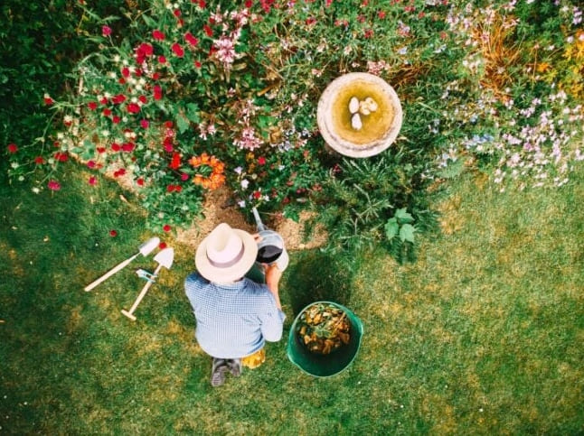 10 Syytä, miksi puutarhanhoito on tieteen mukaan hyväksi sinulle.