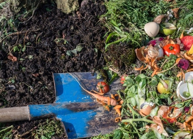 Kompostointi 101: Kuinka laittaa keittiö- ja pihajätteet hyötykäyttöön puutarhassasi?
