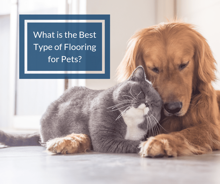 Mikä on paras lattiapinnoite lemmikkieläimille?