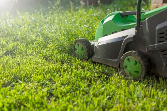 11 Asiaa, joita sinun tulisi varoa nurmikkoa leikatessasi